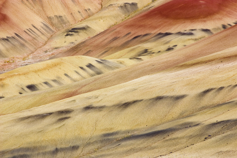 Detail Of The Painted Hills